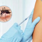 Nación vacunará contra el dengue: la aplicación empezará en la población de 15 a 39 años